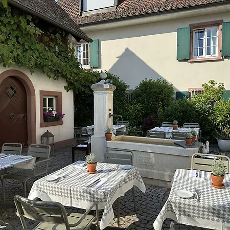 Hotel Adler - Weil am Rhein / Basel-3