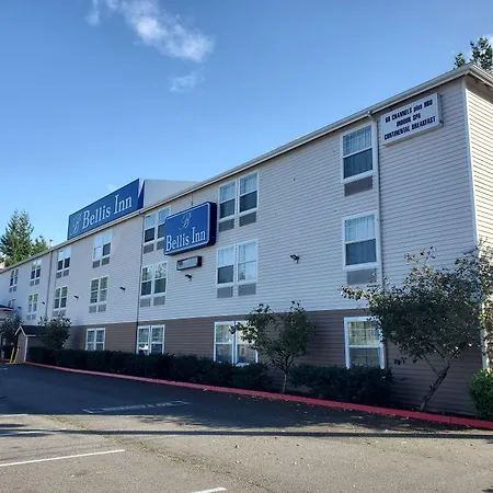 Bellis Inn-3