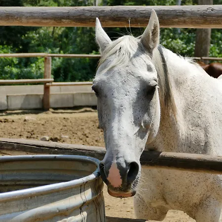 Bill Cody Ranch-2