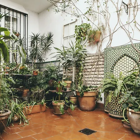 El Riad Andaluz-3