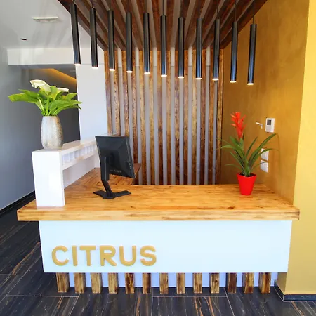 Hotel Citrus-2