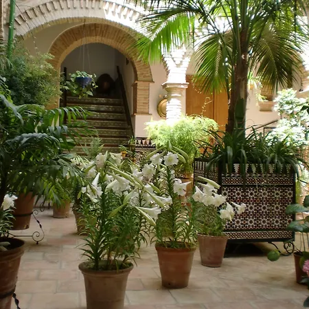 Hostal Comercio-3