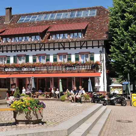 Hotel Hirschen-3