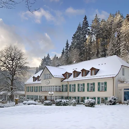 Waldhotel Bad Sulzburg-3