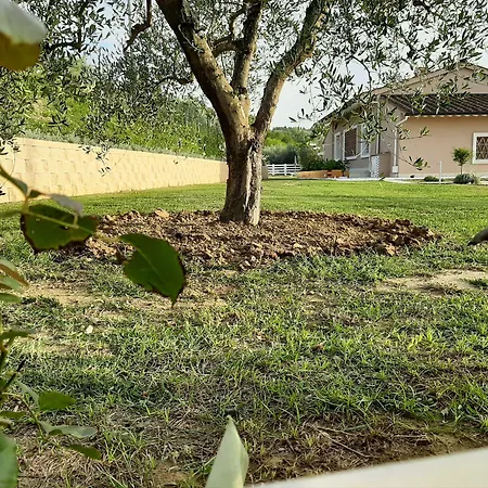 Le Mammole-2