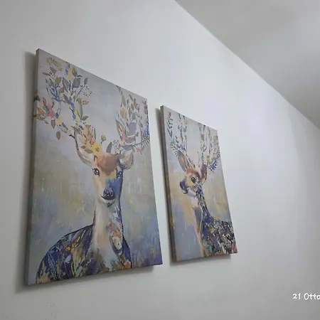 B&B Domus Morfeo-2