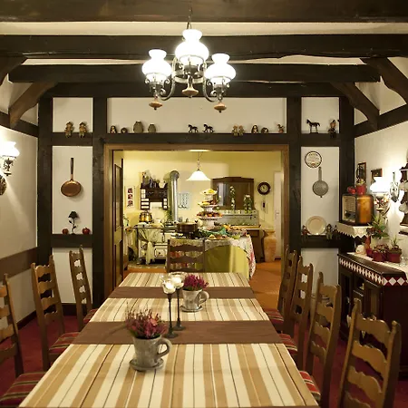 Waldhotel zum Bergsee Damme-3