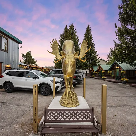 The Bucking Moose-2
