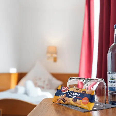 Hotel Garni Traube-2