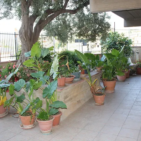 B&B Ulivo-3