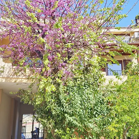 B&B Ametista-3