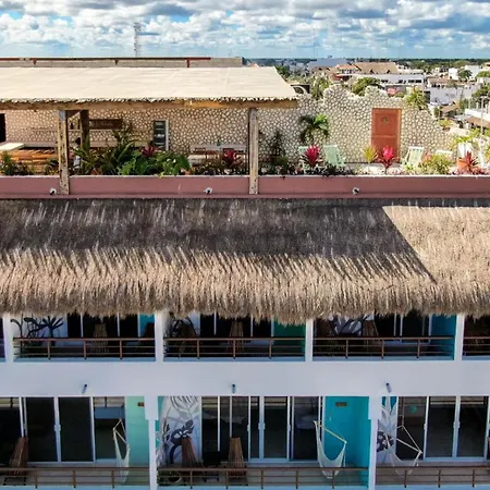 Hotel La Palmita By Mij-3