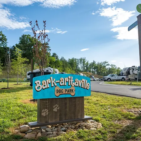 The Lodge At Camp Margaritaville-3