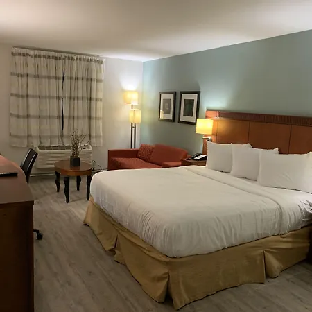 The Hotel Orange-3