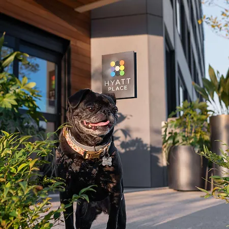 Hyatt Place Atlanta/Perimeter Center-2