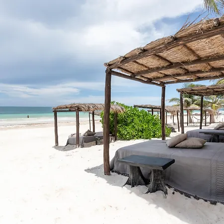 Nest Tulum-3