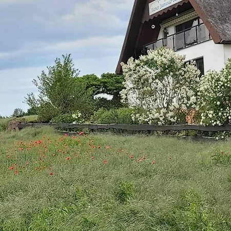 Pension Petersen-3