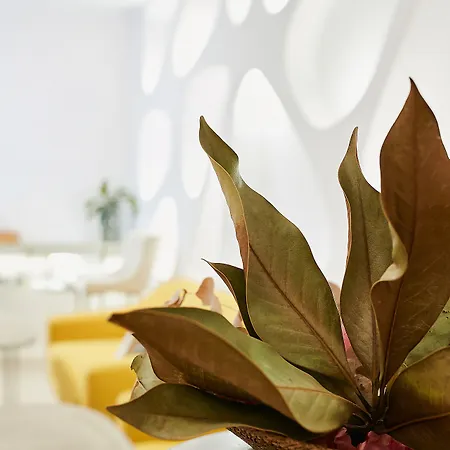 Hotel Suite Generis-2