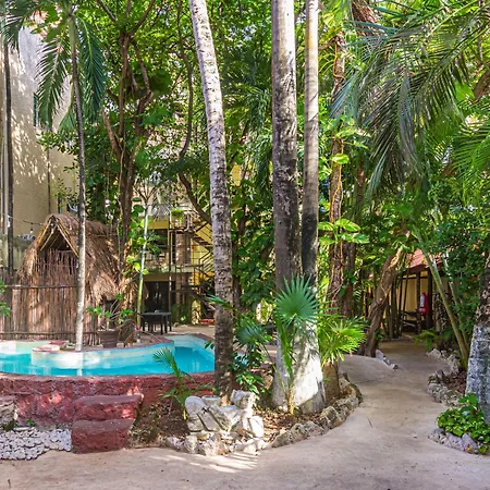Hotel B&B - Playa Del Carmen-3