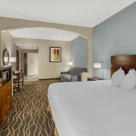 Best Western Plus Suites Greenville-3
