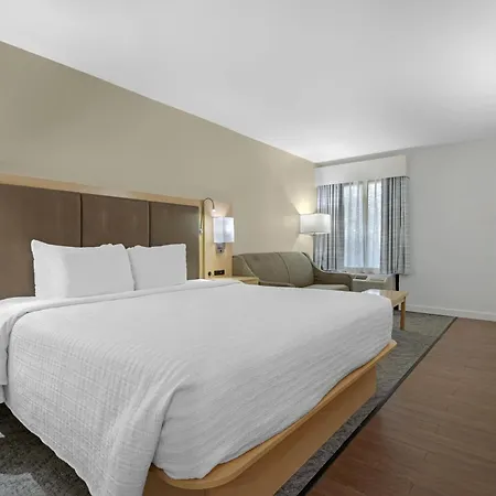 Best Western Plus South Coast Inn-3
