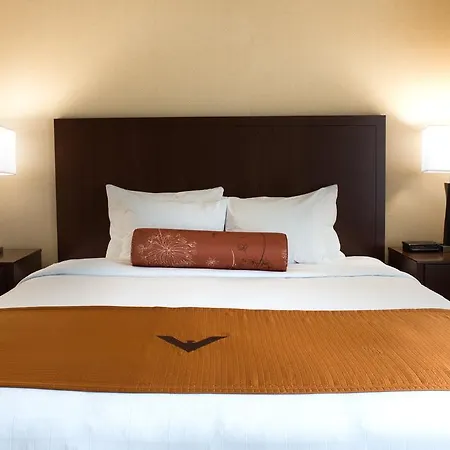 Phoenix Inn Suites - Eugene-3