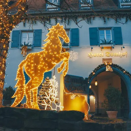 Hotel Domhof-3