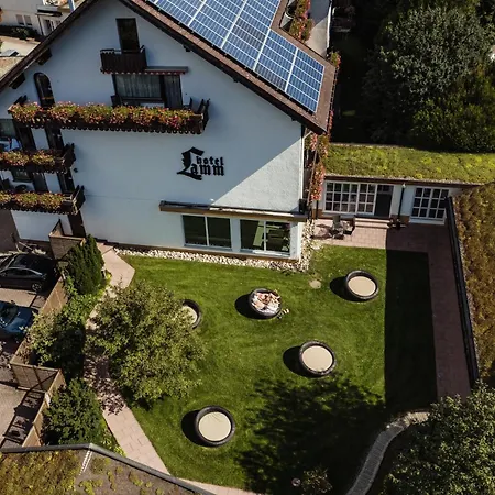 Hotel Lamm-3