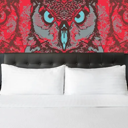 Studio Allston Hotel Boston-2