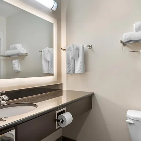 Best Western Plus Dartmouth Hotel & Suites-2