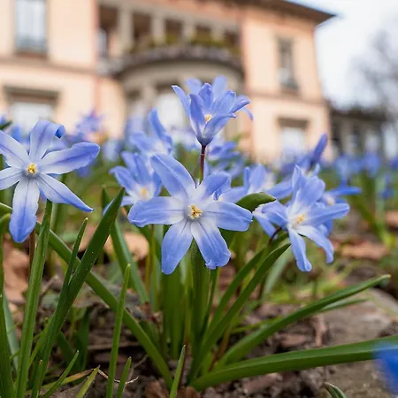 Schloss Hotel Wasserburg-3