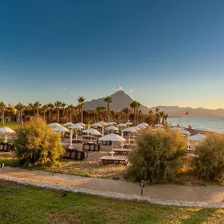 Acacia Resort-3