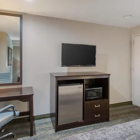 Surestay By Best Western Salt Lake City Downtown-2