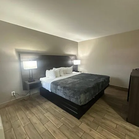 Econo Lodge St Petersburg Central-3