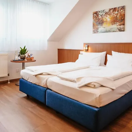 Hotel&Restaurant Goldener Pflug-2