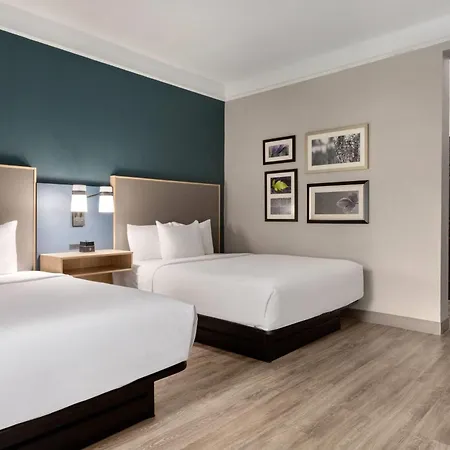 La Quinta By Wyndham Dallas Arlington South-3