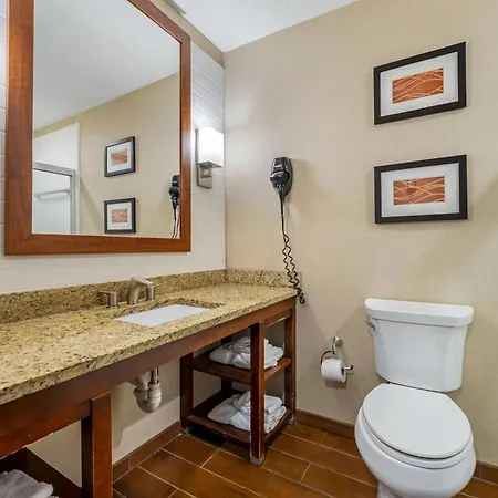 Comfort Inn & Suites Triadelphia - Wheeling-2