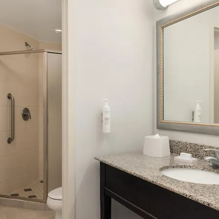 Hampton Inn & Suites Baton Rouge Downtown-2