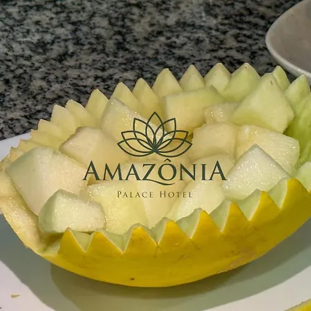 Amazônia Palace Hotel-2