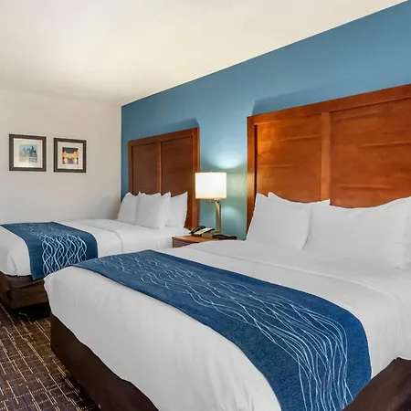 Comfort Inn & Suites Lees Summit - Kansas City-3