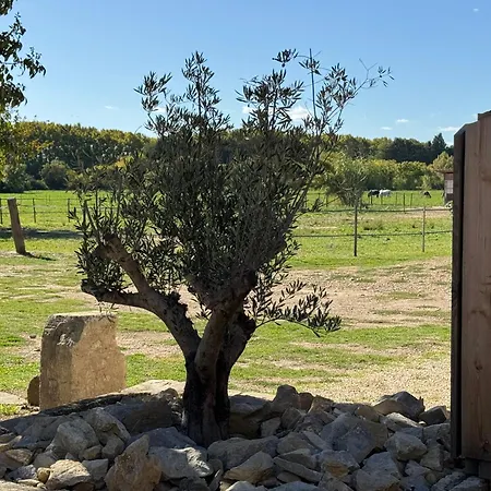 B&B Maison d'hôte et gite Mas d'Eymard-2