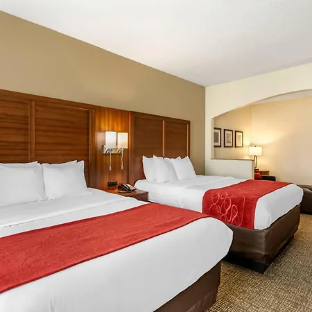 Comfort Suites Southaven - Memphis South-3