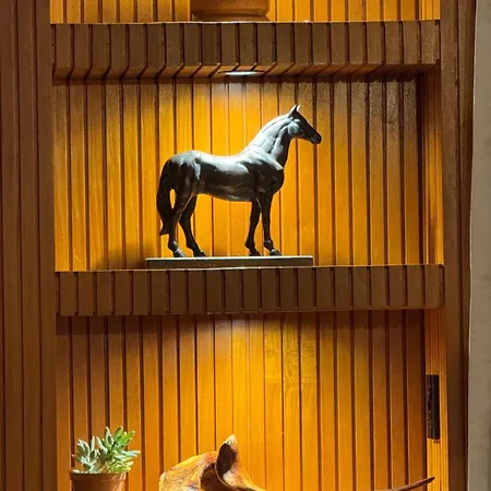 Hotel Fazenda Igarapés-3