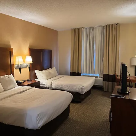 Comfort Inn & Suites Hamburg - Buffalo South-2