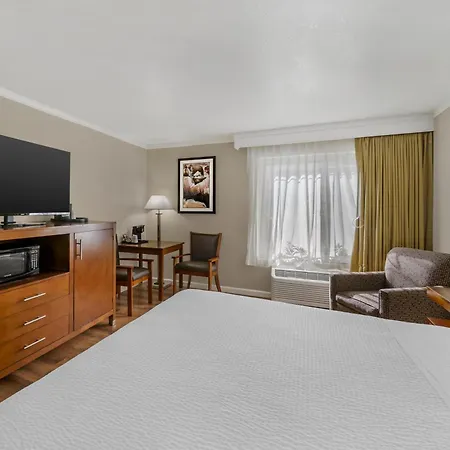 Best Western Plus Northwoods Inn-3