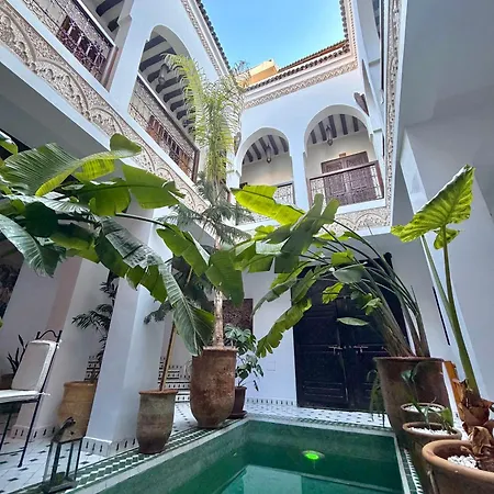 Riad Aguaviva-3