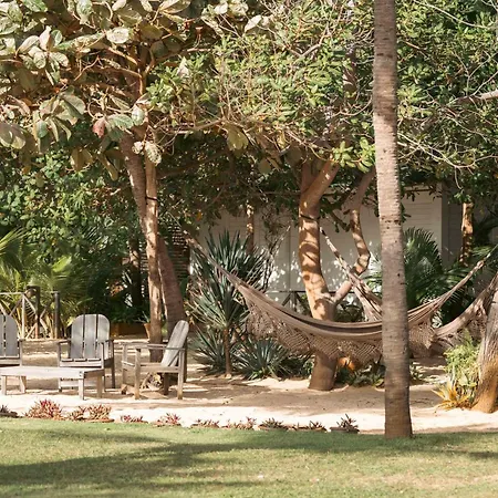 Muita Paz-2