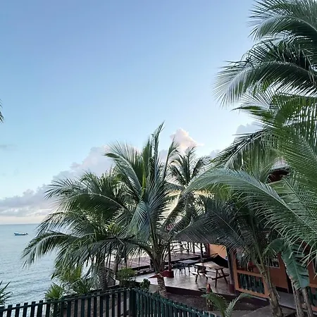 Las Palmeras Oceanview Hotel And Dive Center-2