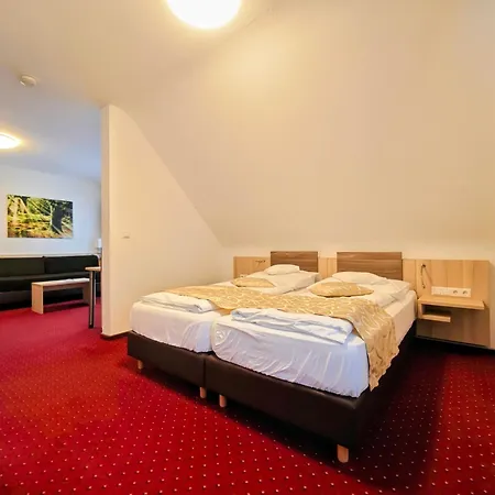 Wellness Hotel Garni Krone-2