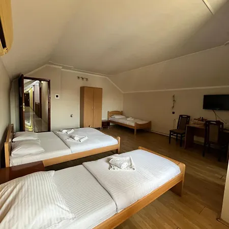 Guest House Vila Bor-3